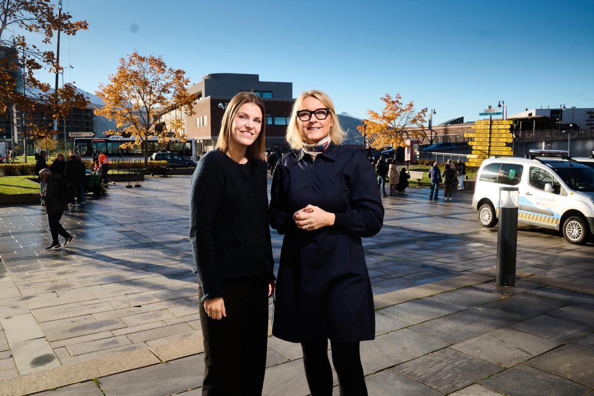 Lenke til artikkel: Bli med å pynte Narvik til kongebesøket!